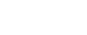 NG Voice